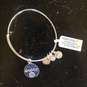 Alex and Ani charm bracelet